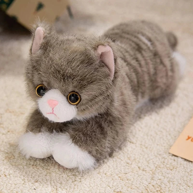 Peluche chat réaliste