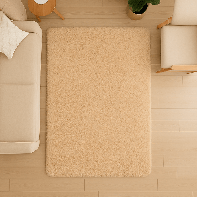 Tapis Clair Salon