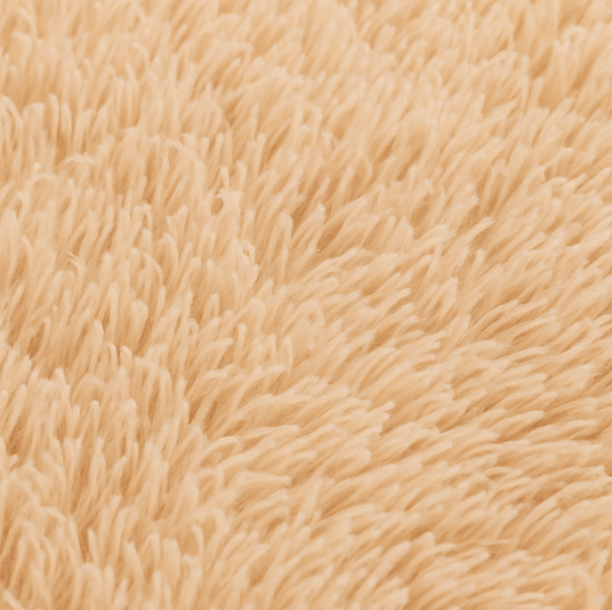 Tapis Clair Salon