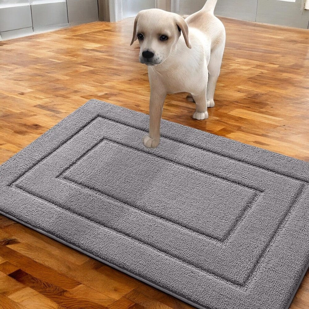 Tapis d'entrée