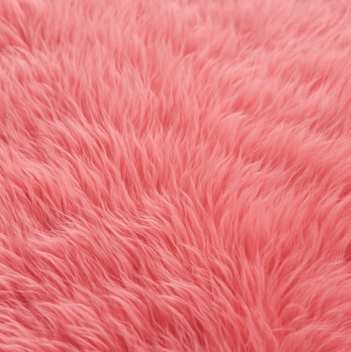 Tapis salon – Confort et chic