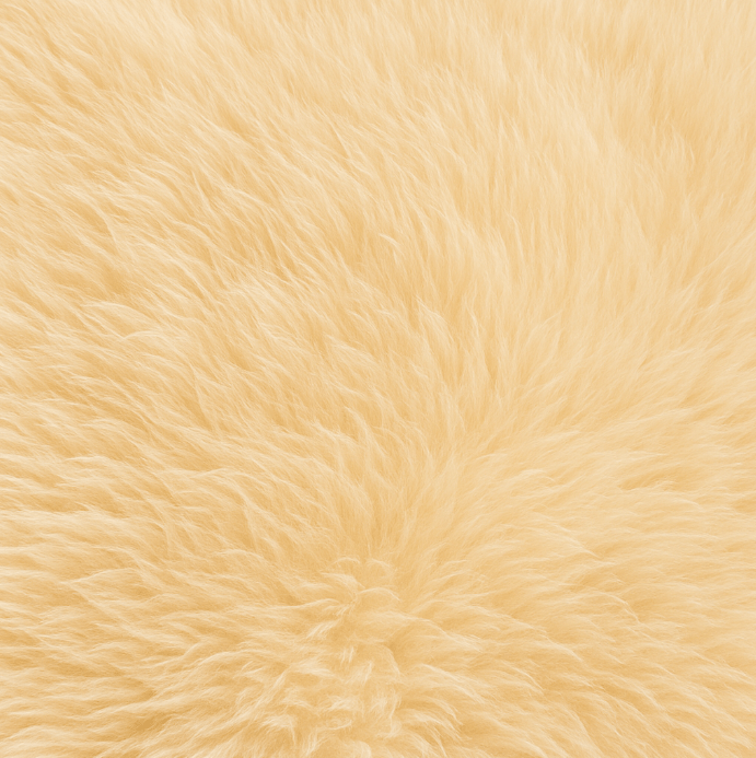 Tapis salon camel – Cosy et élégant
