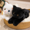 Peluche Chat