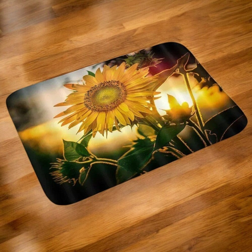 Tapis d'entrée